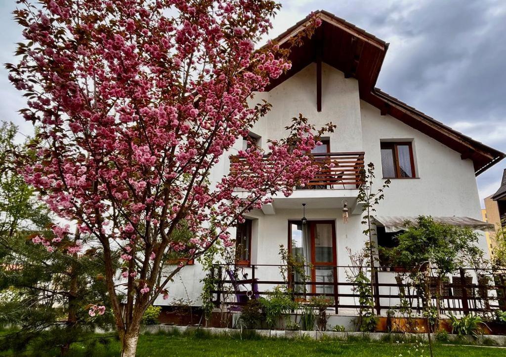 Cristina House Apartment Brasov Exterior photo